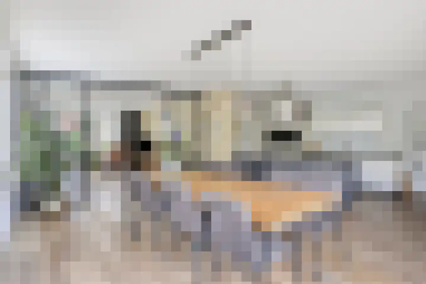 Denariuspad 13 Oss thumbnail 14