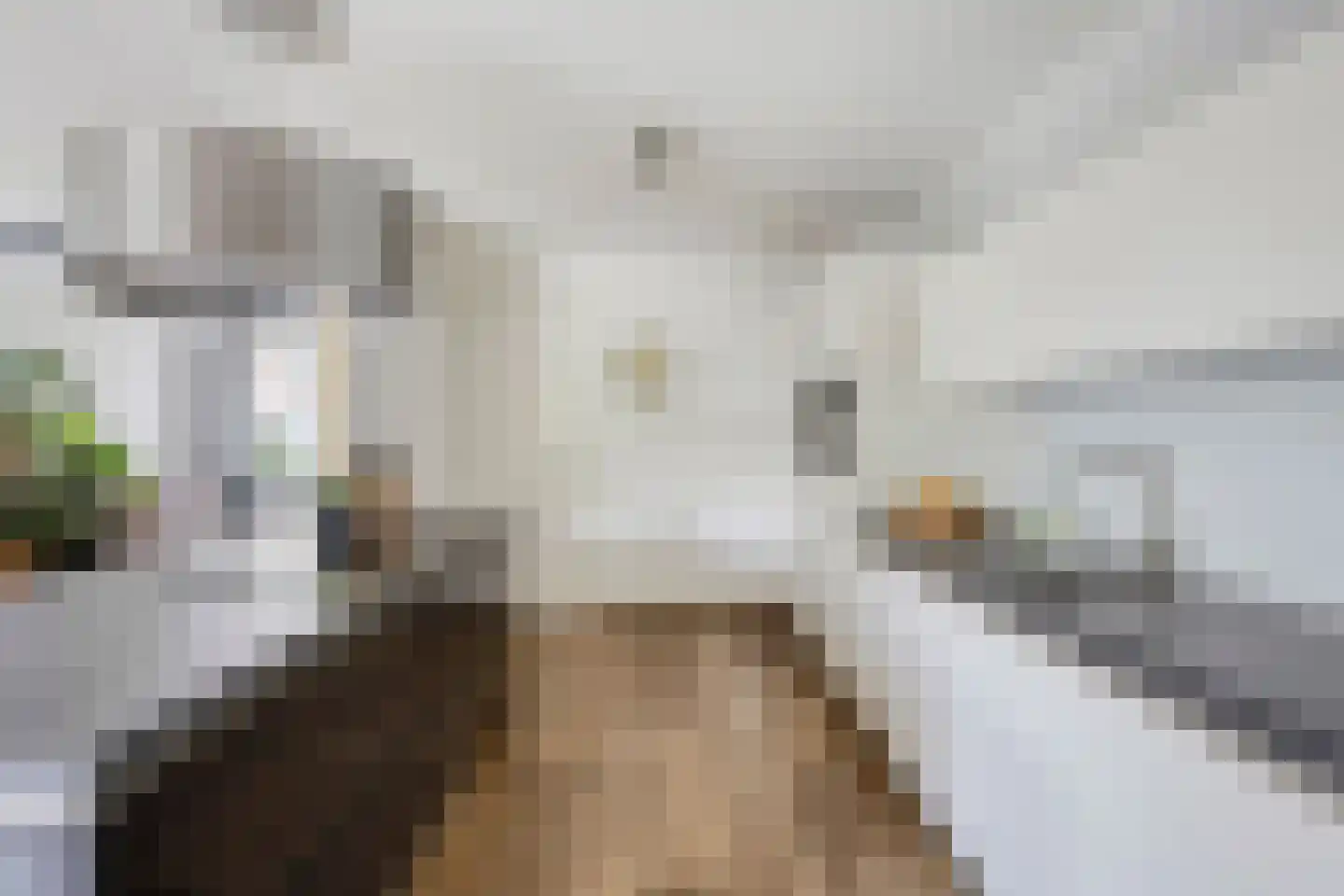 Denariuspad 13 Oss thumbnail 18