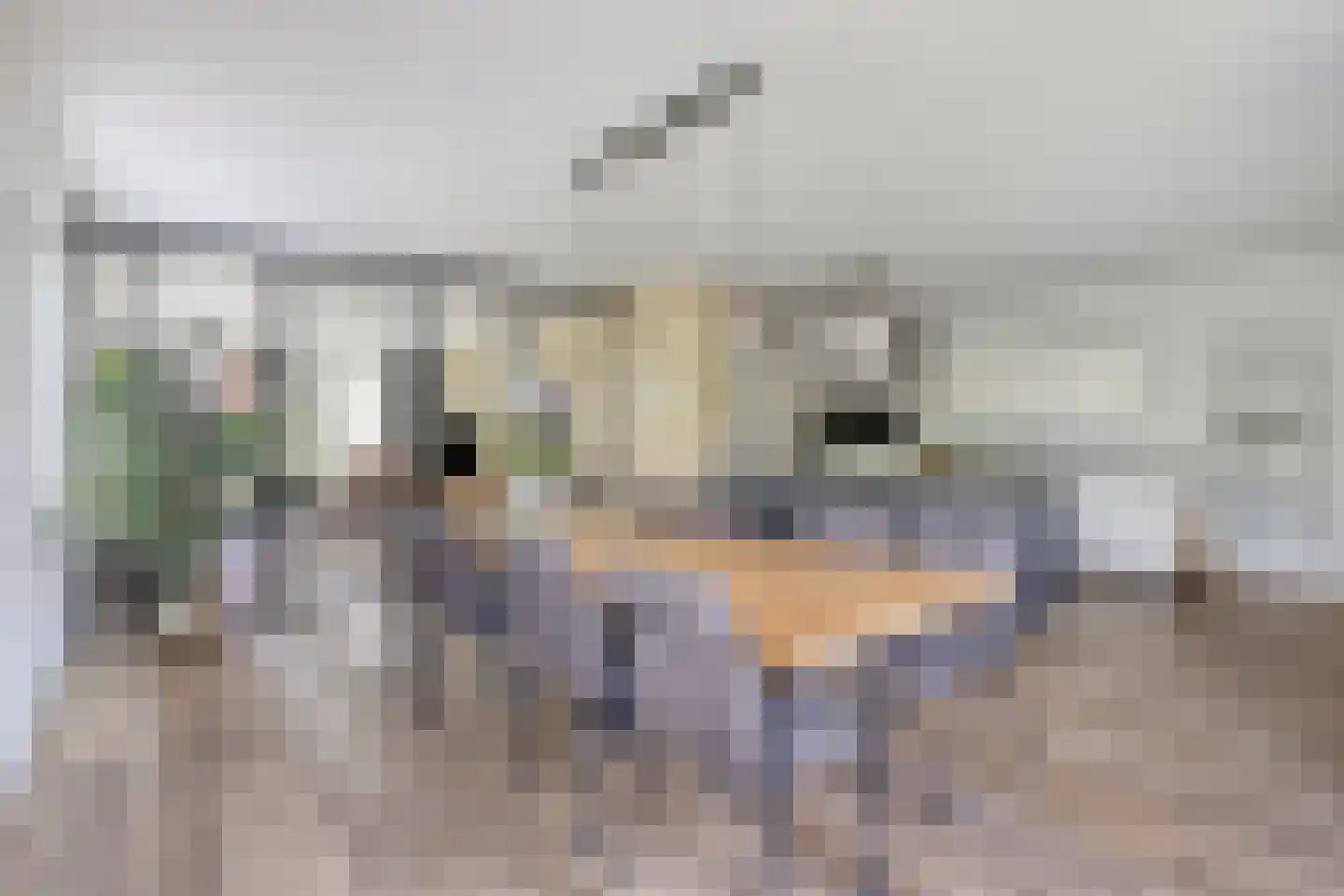 Denariuspad 13 Oss thumbnail 20