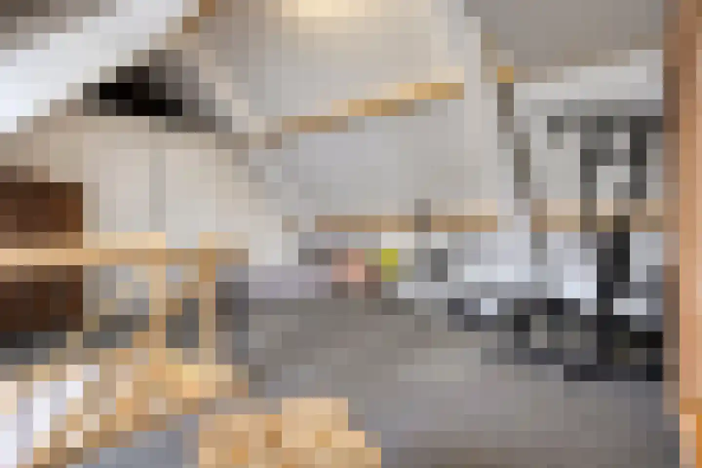 Denariuspad 13 Oss thumbnail 44
