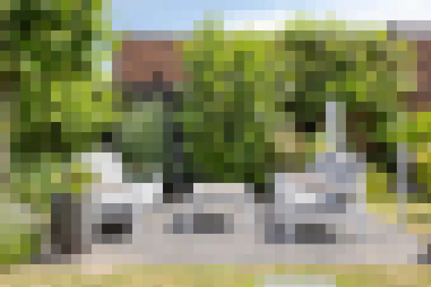 Denariuspad 13 Oss thumbnail 52