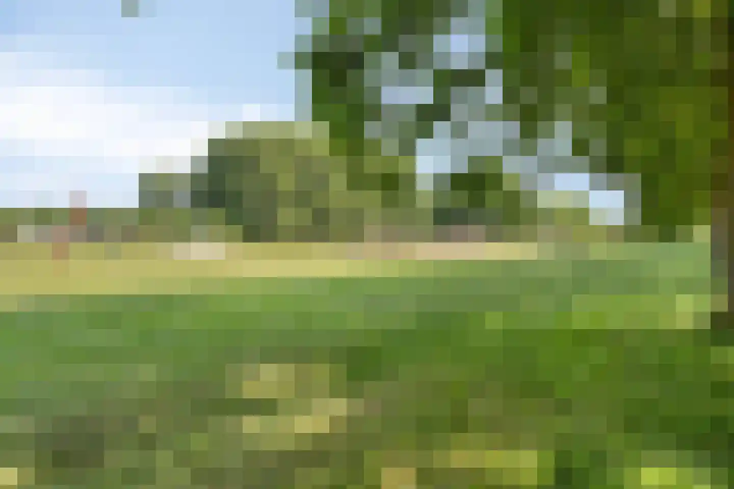 Denariuspad 13 Oss thumbnail 54
