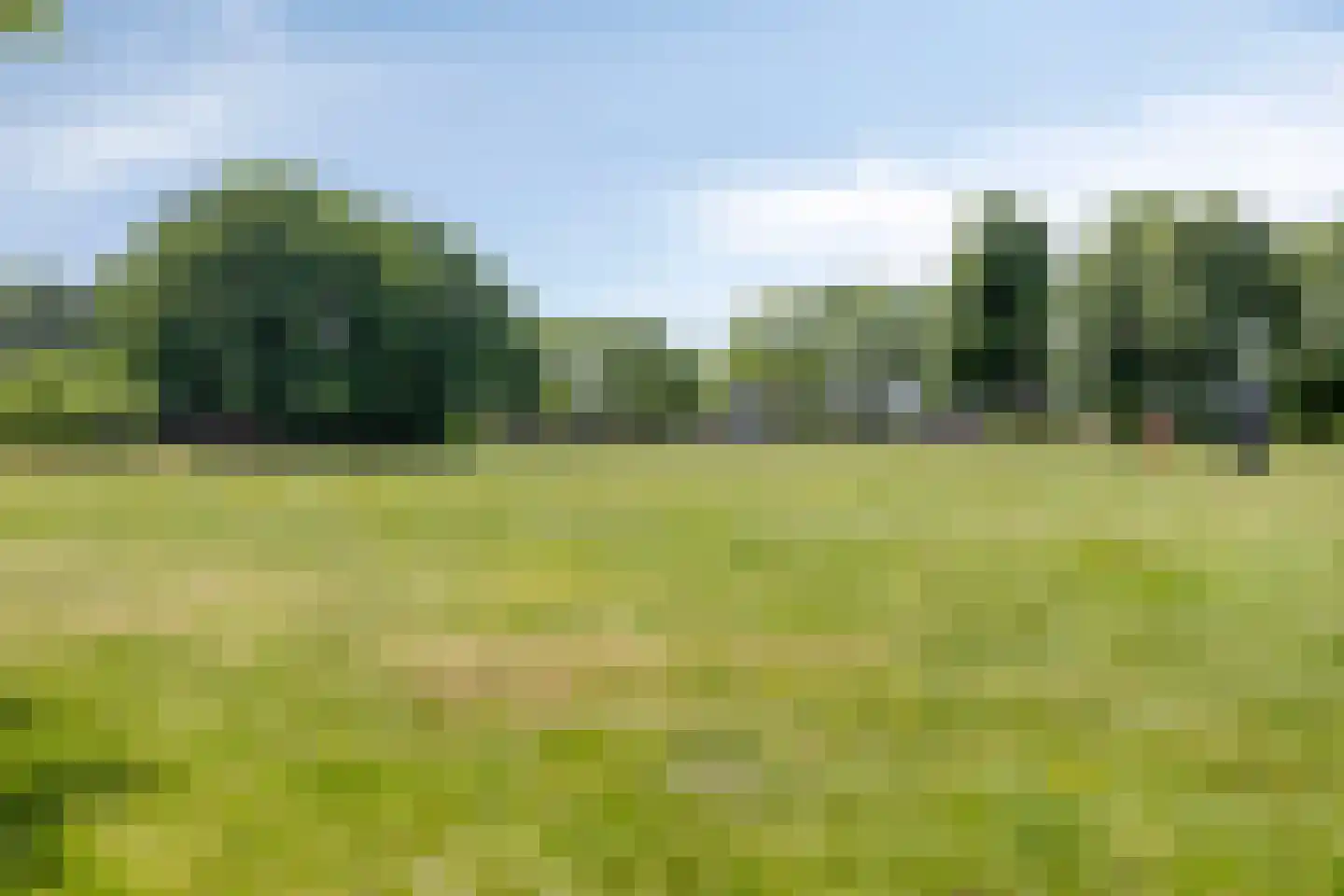 Denariuspad 13 Oss thumbnail 55