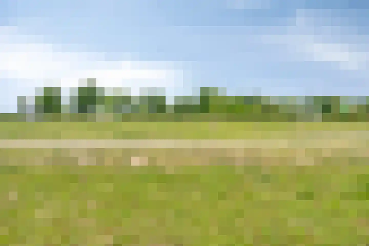 Denariuspad 13 Oss thumbnail 56