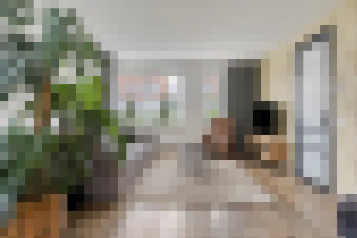 Denariuspad 13 Oss thumbnail 9