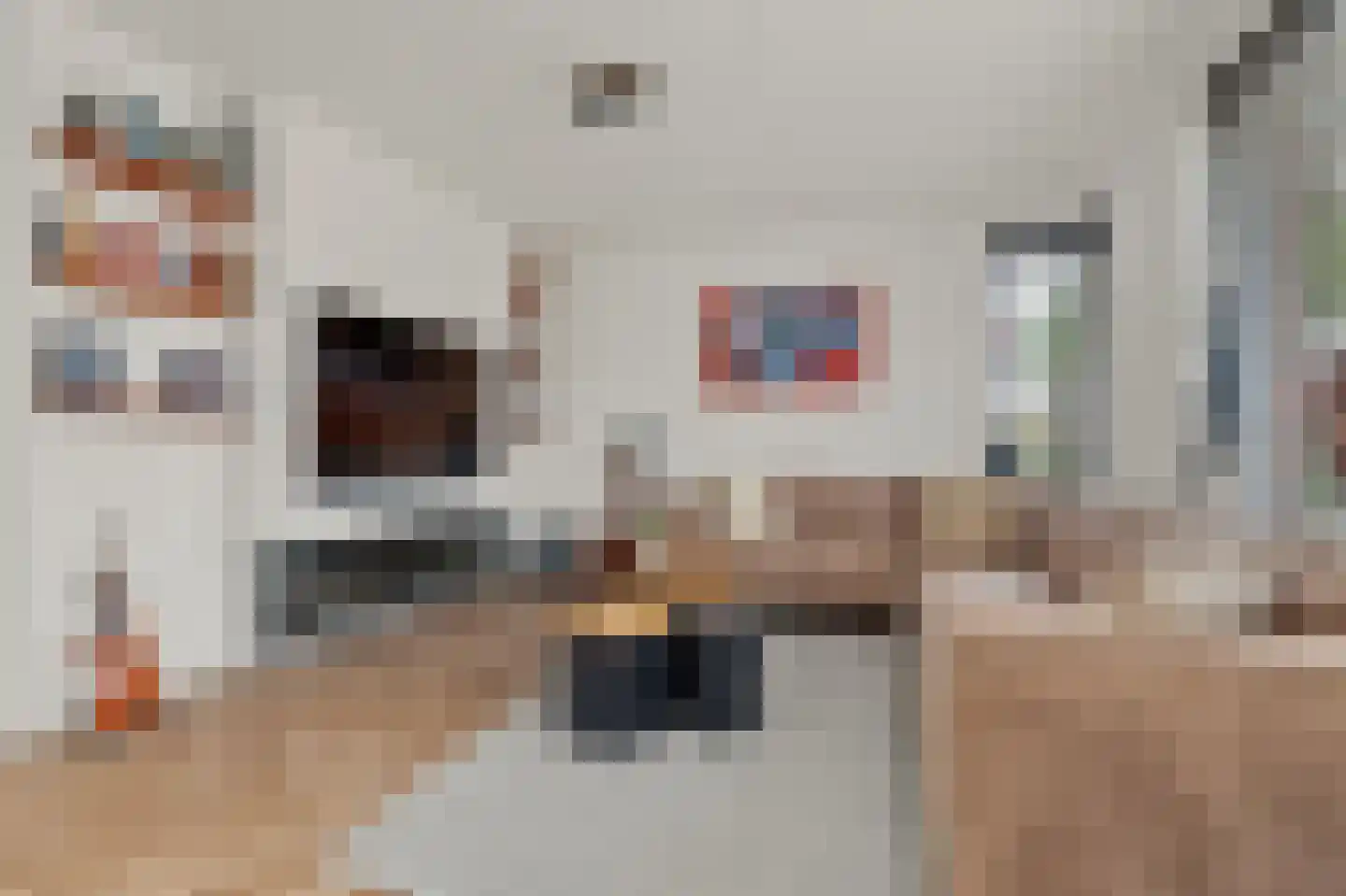 Denariusstraat 1 Tiel thumbnail 14