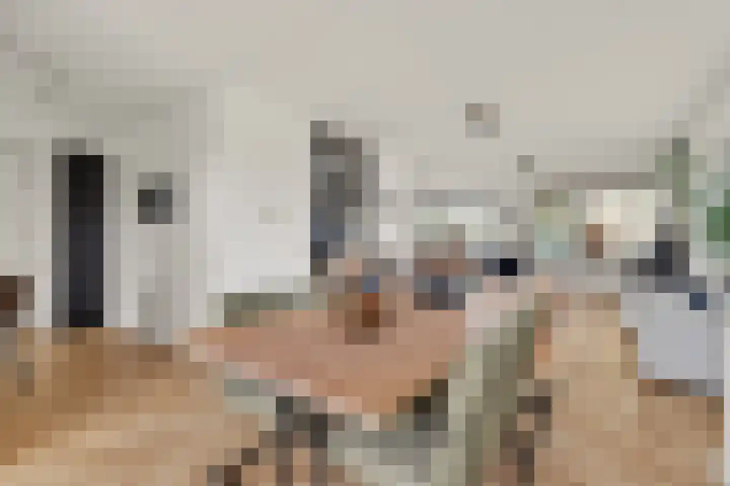 Denariusstraat 1 Tiel thumbnail 20