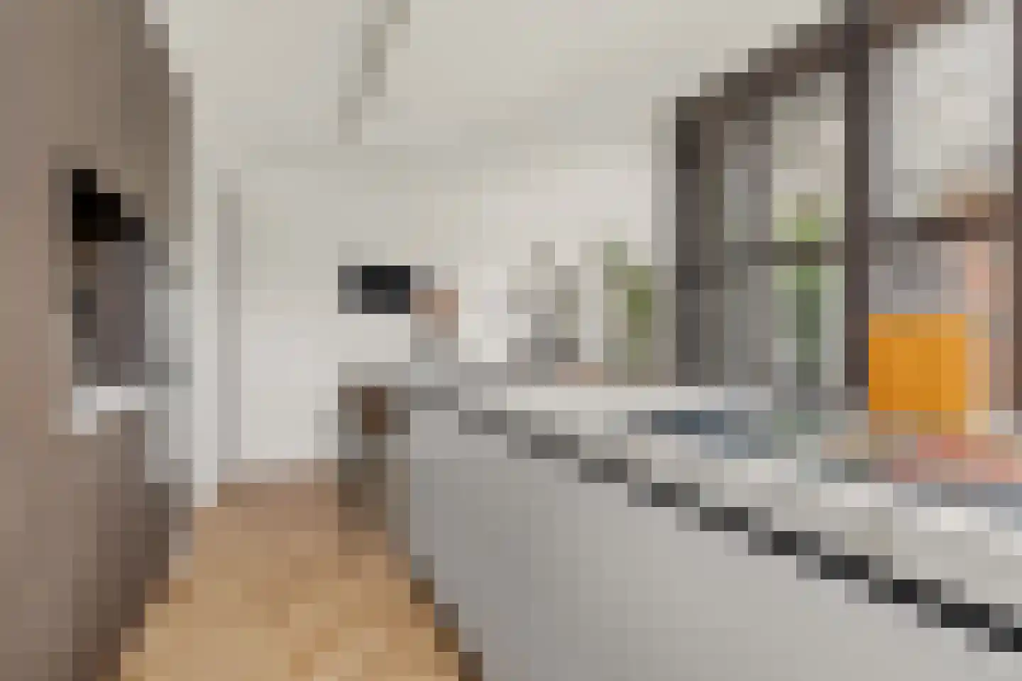 Denariusstraat 1 Tiel thumbnail 25