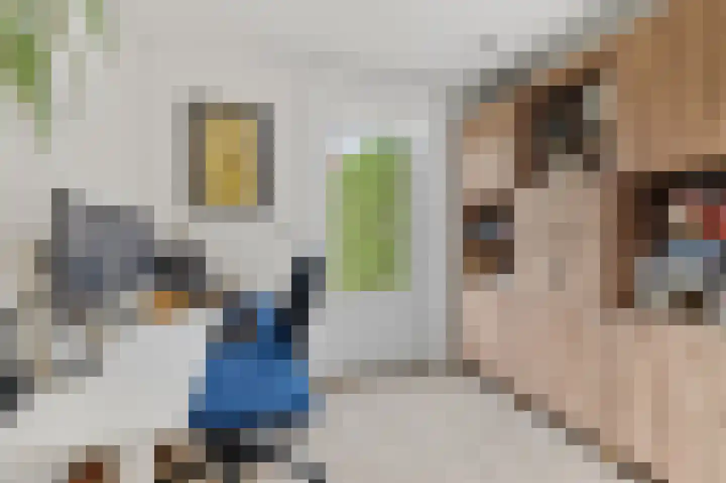Denariusstraat 1 Tiel thumbnail 28