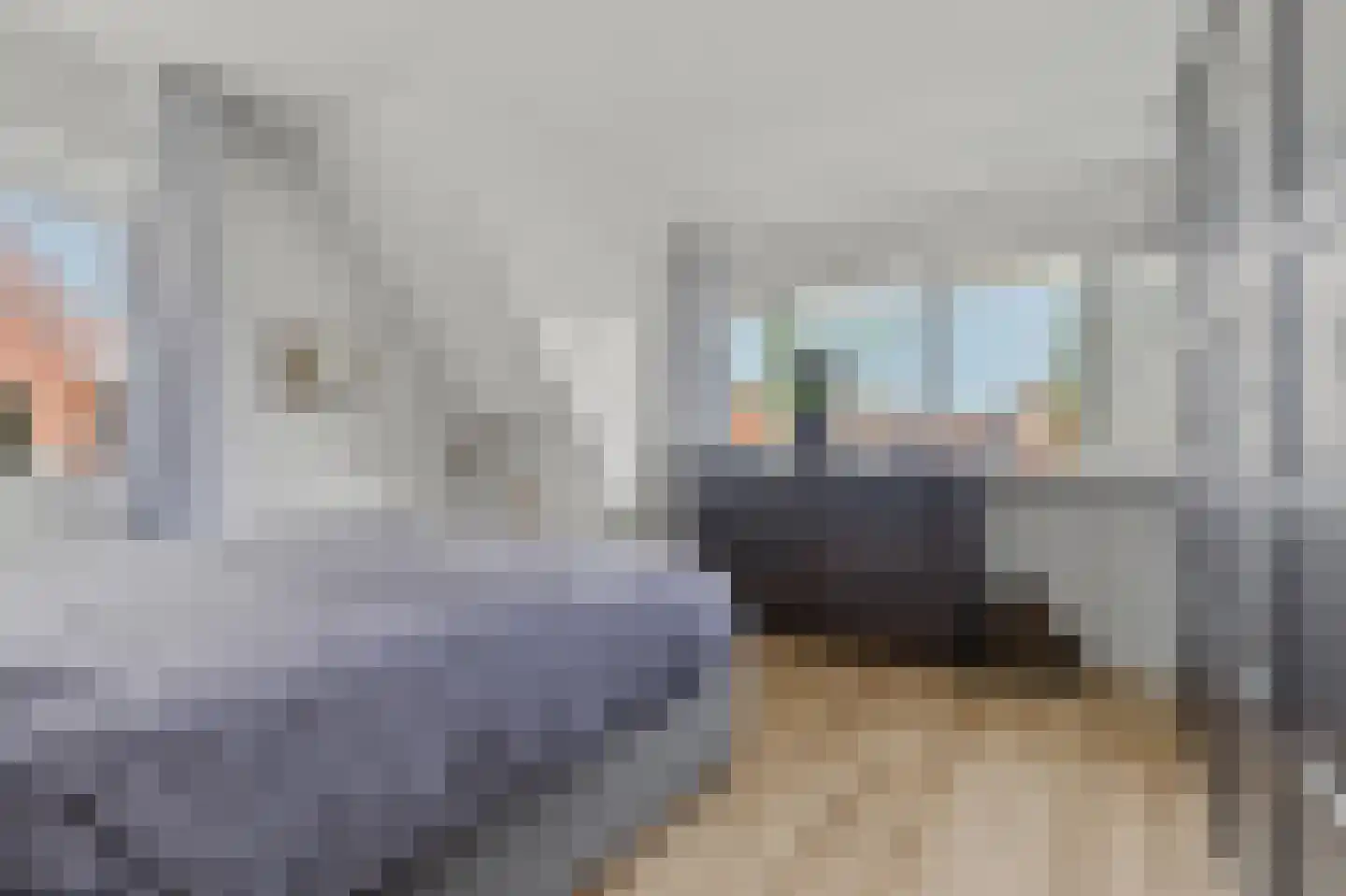 Denariusstraat 1 Tiel thumbnail 32