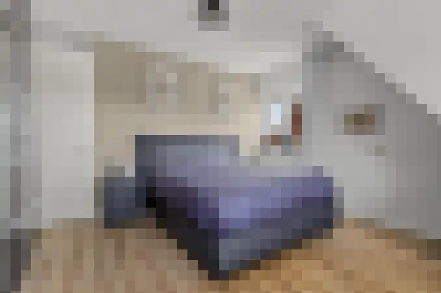 Denariusstraat 1 Tiel thumbnail 33