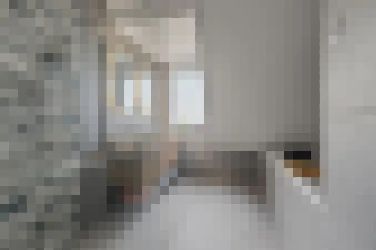 Denariusstraat 1 Tiel thumbnail 39