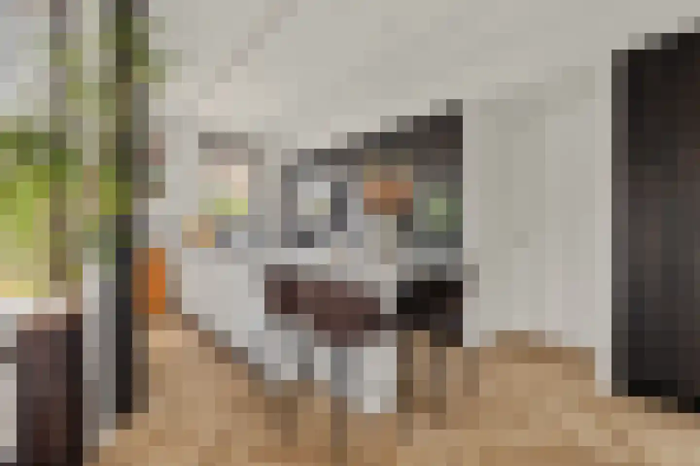 Denariusstraat 1 Tiel thumbnail 4