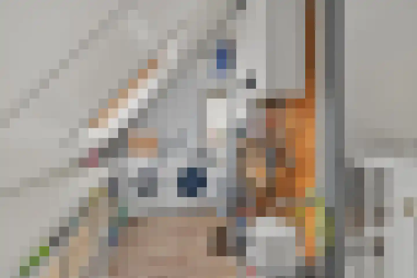 Denariusstraat 1 Tiel thumbnail 43