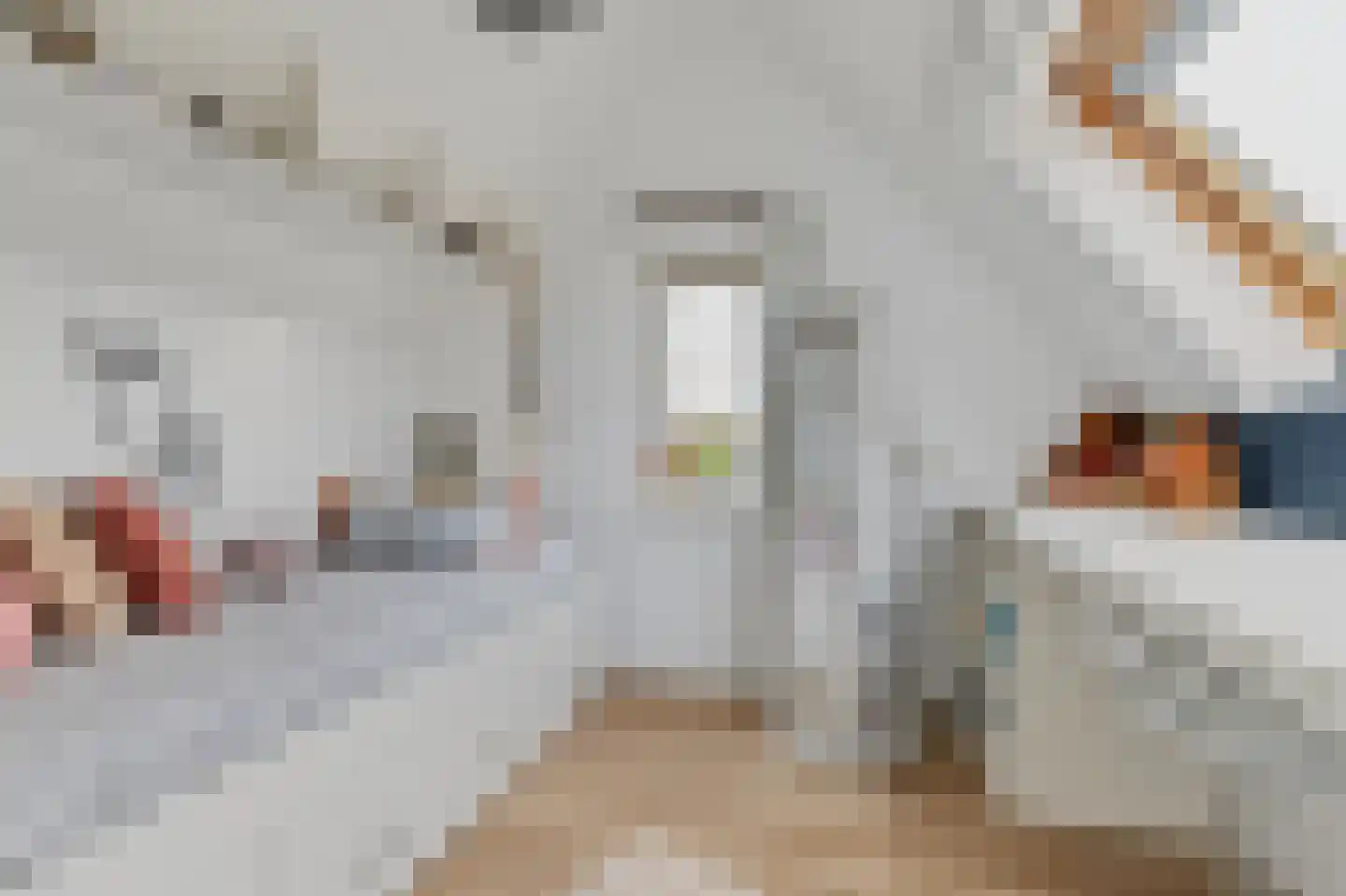 Denariusstraat 1 Tiel thumbnail 45