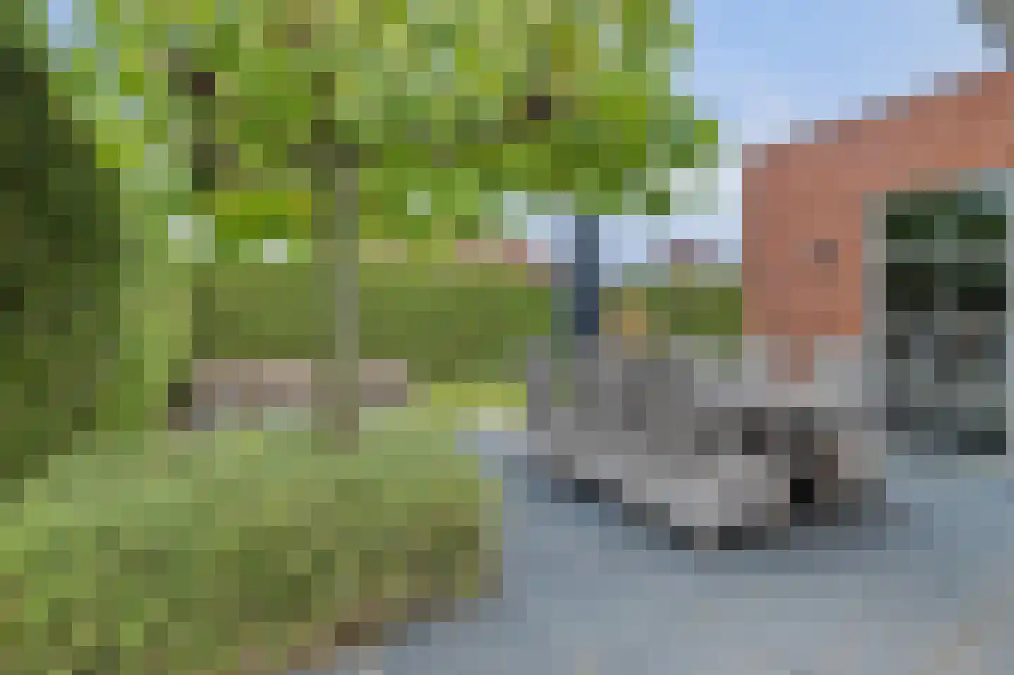 Denariusstraat 1 Tiel thumbnail 47