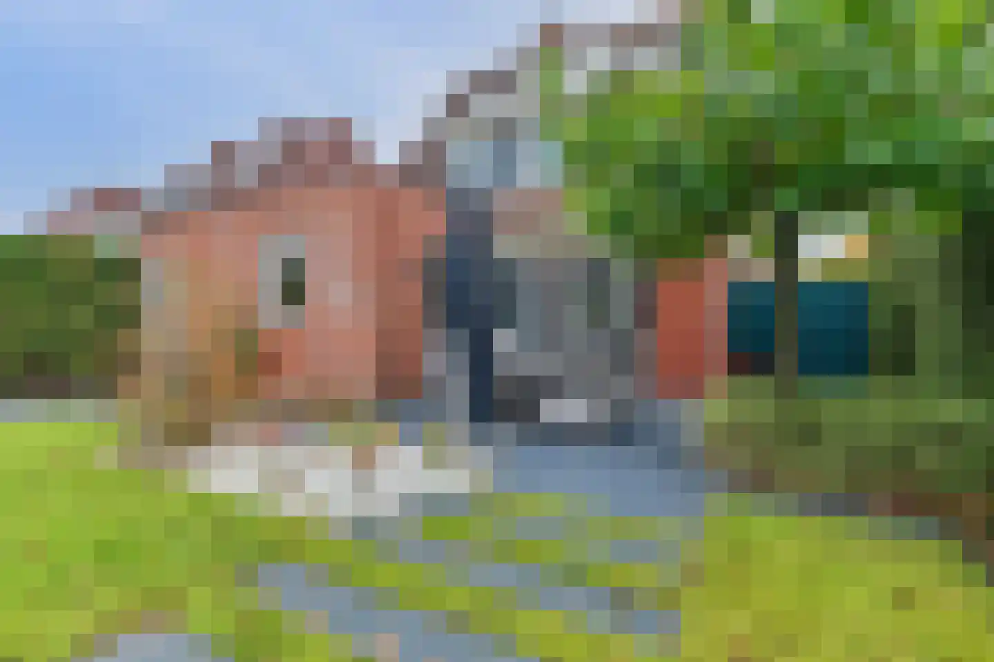 Denariusstraat 1 Tiel thumbnail 49