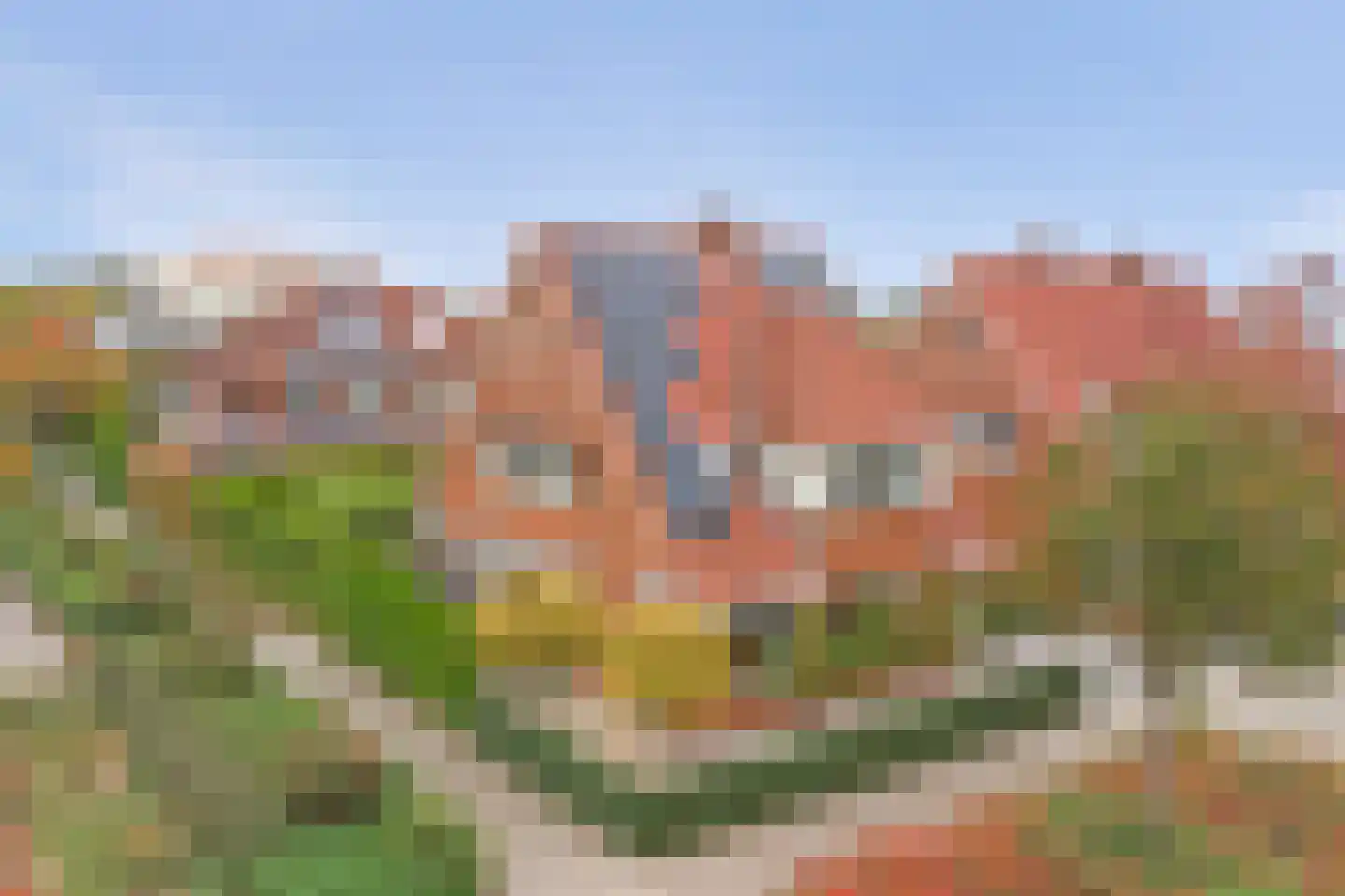 Denariusstraat 1 Tiel thumbnail 54