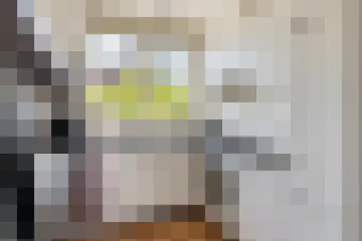 Denariusstraat 10 Tiel thumbnail 10