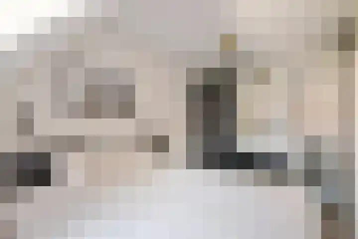 Denariusstraat 10 Tiel thumbnail 13
