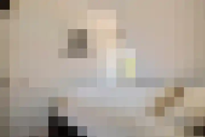 Denariusstraat 10 Tiel thumbnail 14