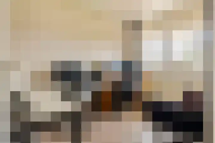 Denariusstraat 10 Tiel thumbnail 17