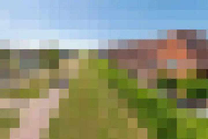 Denariusstraat 10 Tiel thumbnail 27