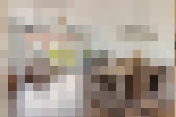 Denariusstraat 10 Tiel thumbnail 5