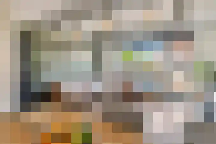 Denariusstraat 10 Tiel thumbnail 6