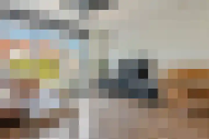 Denariusstraat 10 Tiel thumbnail 7