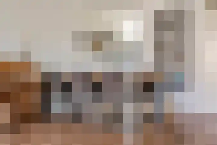 Denariusstraat 10 Tiel thumbnail 9