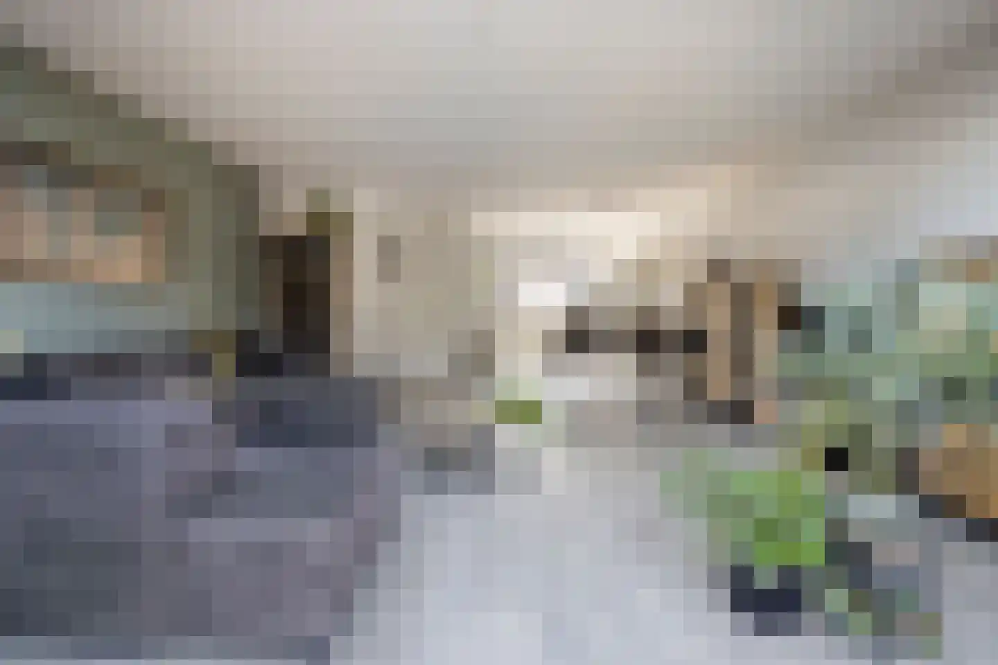 Denariusstraat 14 Huissen thumbnail 11