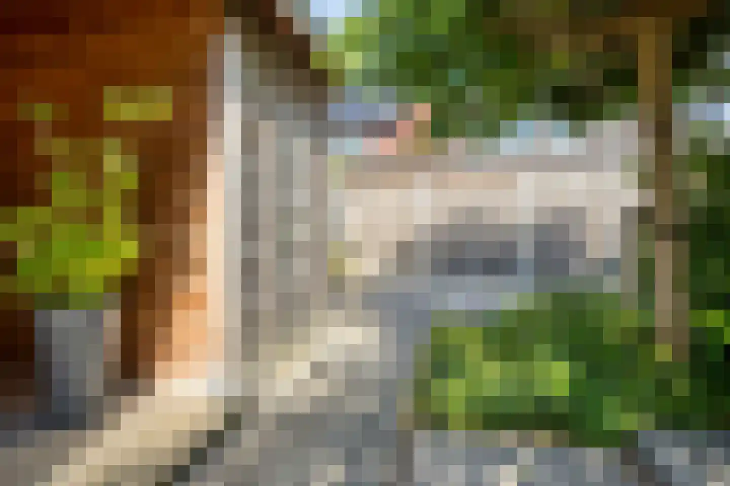 Denariusstraat 14 Huissen thumbnail 21