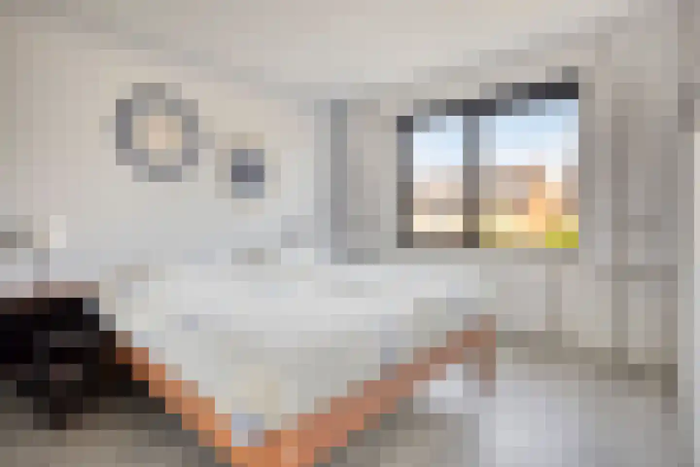 Denariusstraat 14 Huissen thumbnail 28