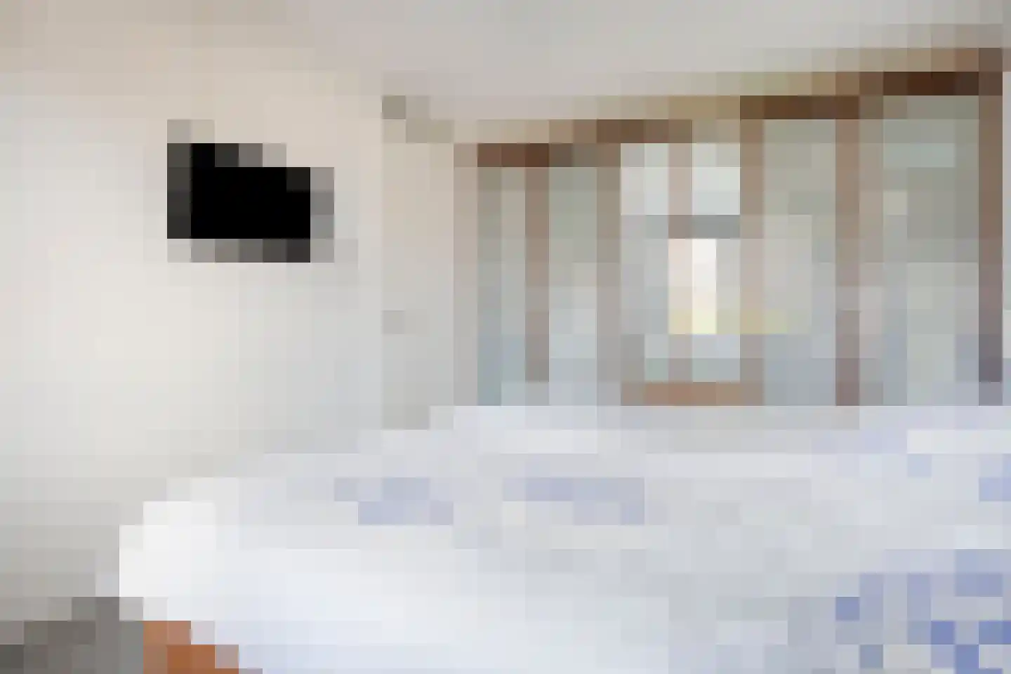 Denariusstraat 14 Huissen thumbnail 29