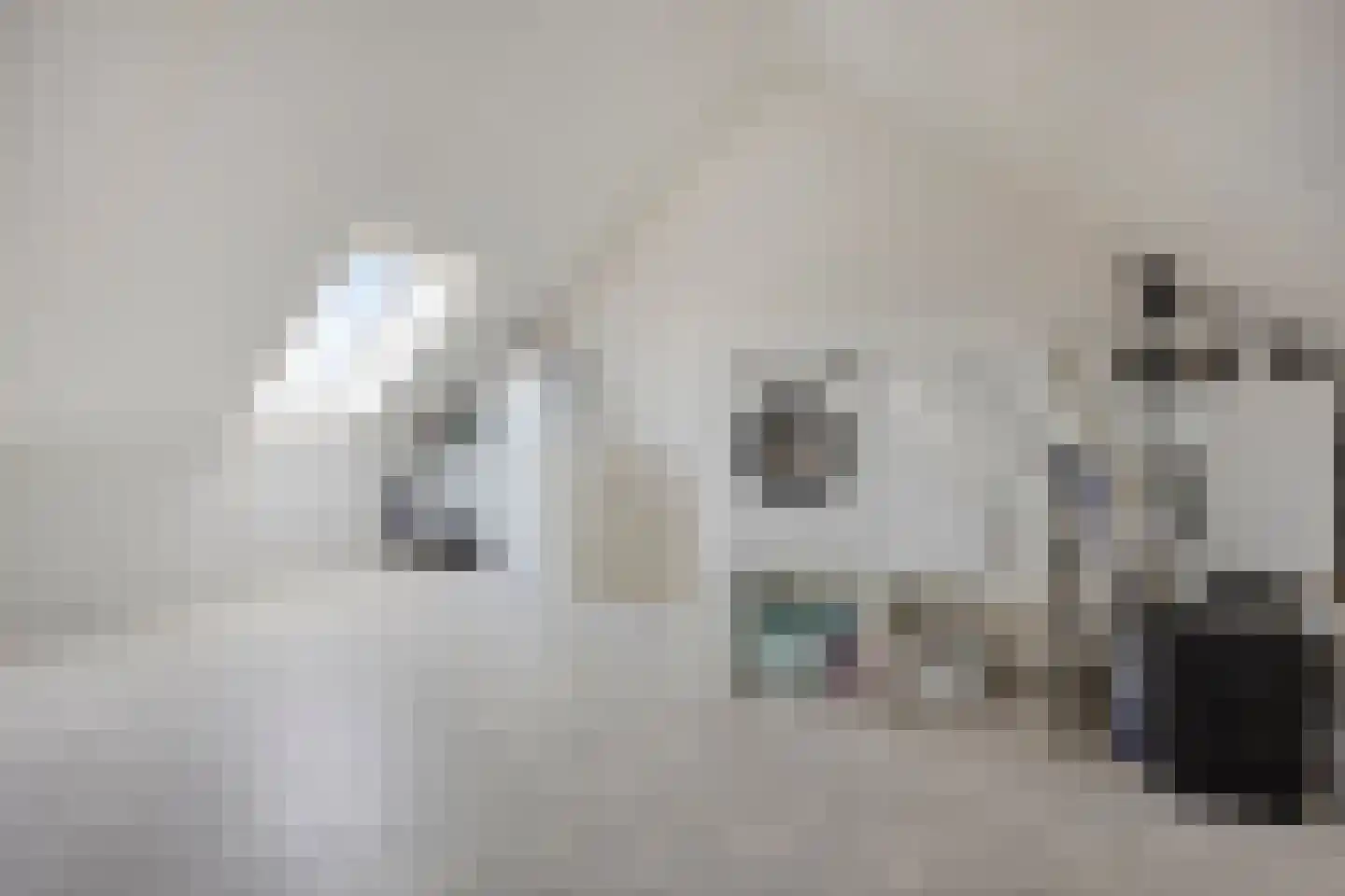 Denariusstraat 14 Huissen thumbnail 35