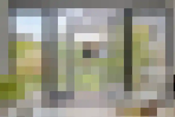 Denariusstraat 20 Huissen thumbnail 13