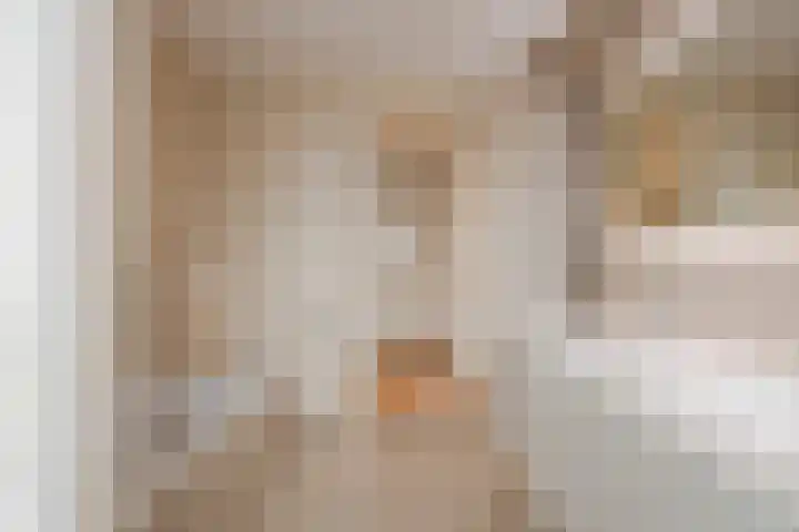 Denariusstraat 20 Huissen thumbnail 19