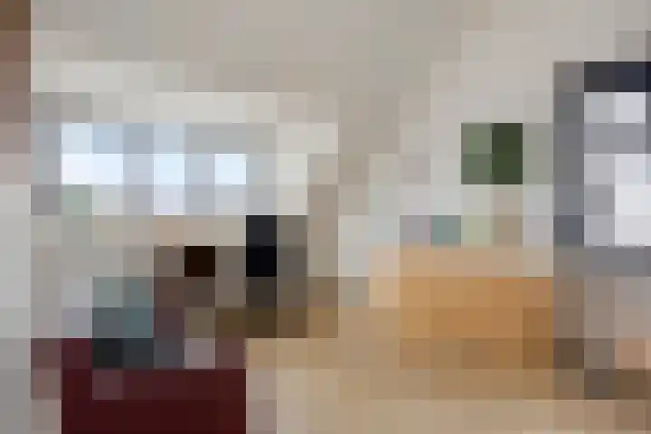 Denariusstraat 20 Huissen thumbnail 23