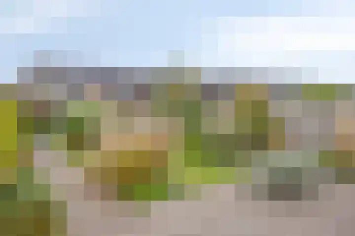 Denariusstraat 20 Huissen thumbnail 25