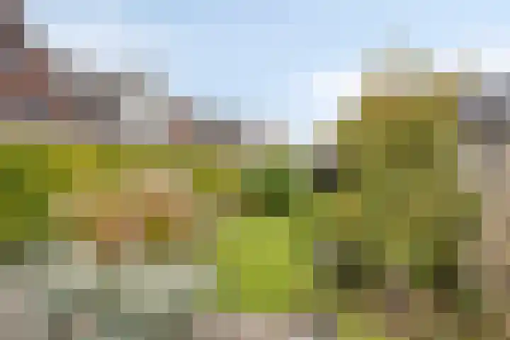 Denariusstraat 20 Huissen thumbnail 26