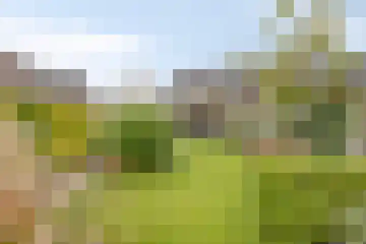Denariusstraat 20 Huissen thumbnail 27