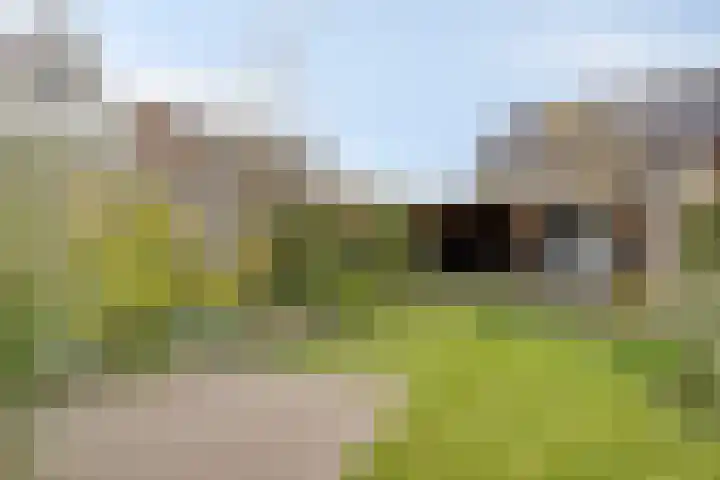 Denariusstraat 20 Huissen thumbnail 28