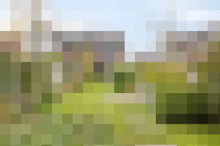 Denariusstraat 20 Huissen thumbnail 31
