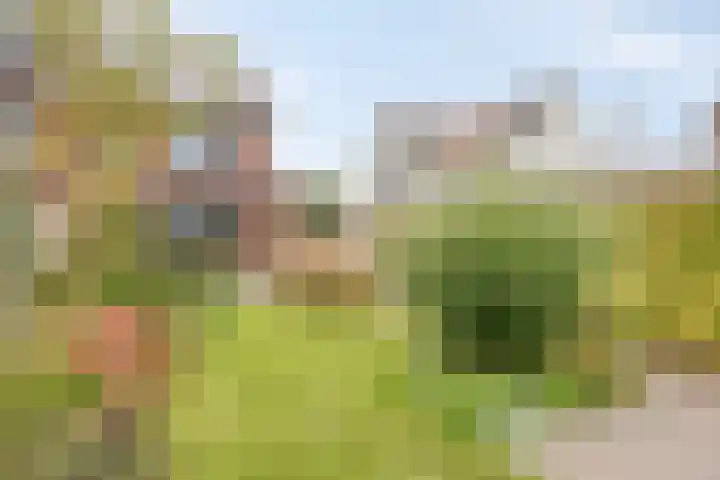 Denariusstraat 20 Huissen thumbnail 32