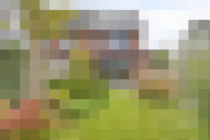 Denariusstraat 20 Huissen thumbnail 33