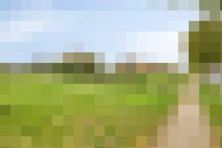Denariusstraat 20 Huissen thumbnail 38