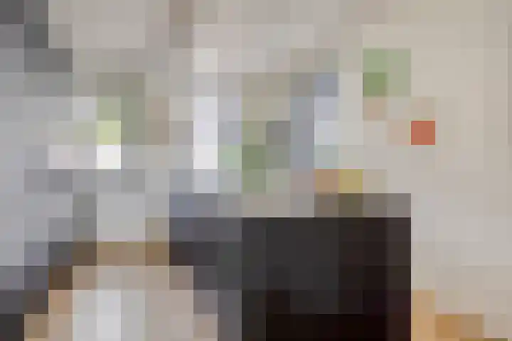 Denariusstraat 20 Huissen thumbnail 9