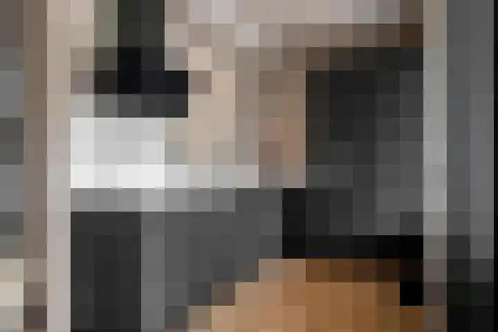 Denariusstraat 3 Tiel thumbnail 10