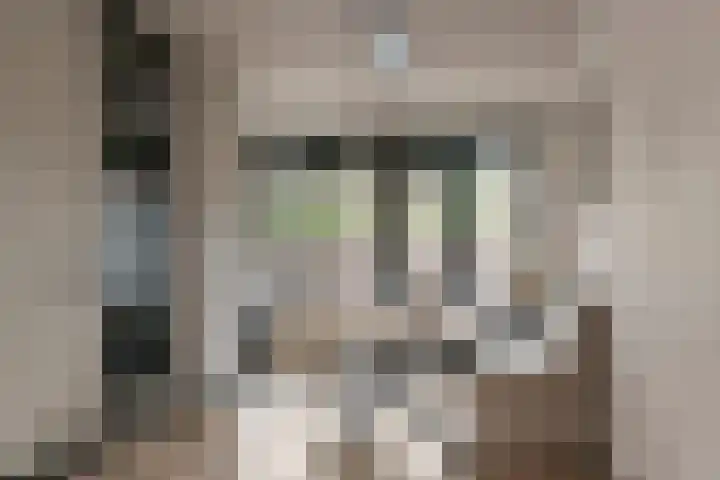 Denariusstraat 3 Tiel thumbnail 13